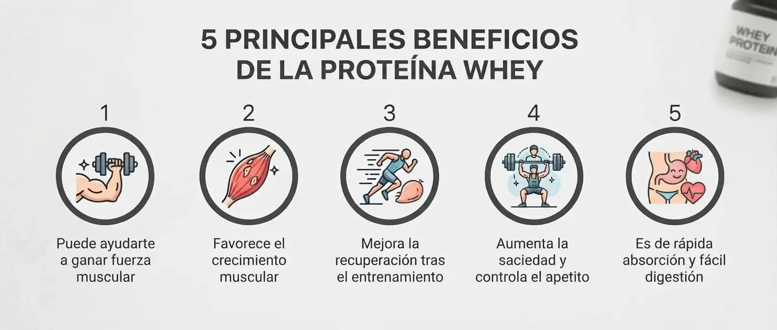 Infografía que detalla los cinco principales beneficios de la proteína whey para la salud muscular y el rendimiento deportivo: 1. Ganar fuerza muscular, 2. Favorecer el crecimiento muscular, 3. Mejorar la recuperación, 4. Aumentar la saciedad y controlar el apetito, 5. Facilitar la digestión